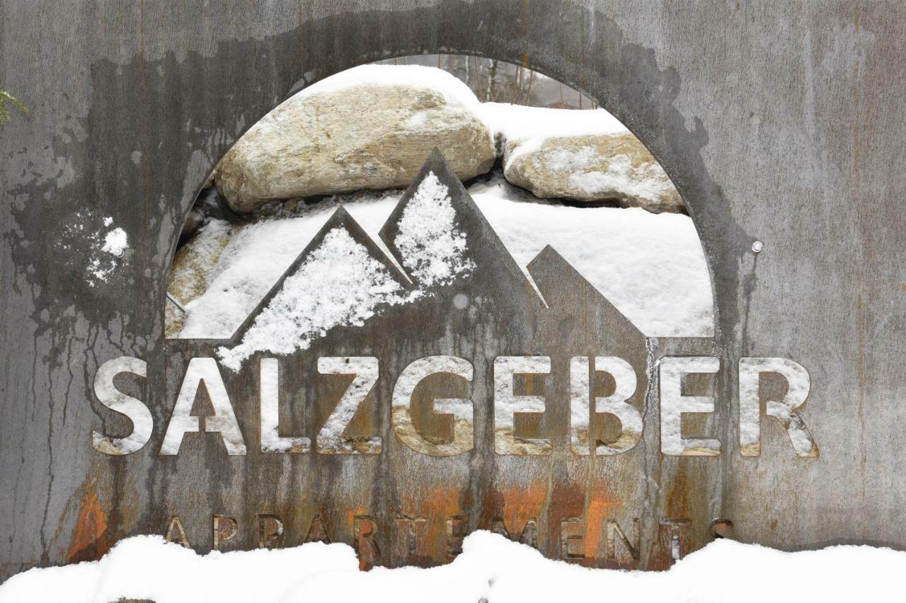 Salzgeber Appartements Sankt Gallenkirch Exteriör bild